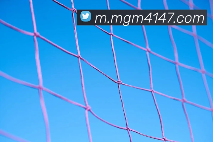 美高梅官网平台生态图